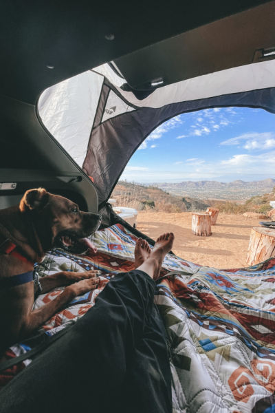 Car camping with dog and looking out on mountain views